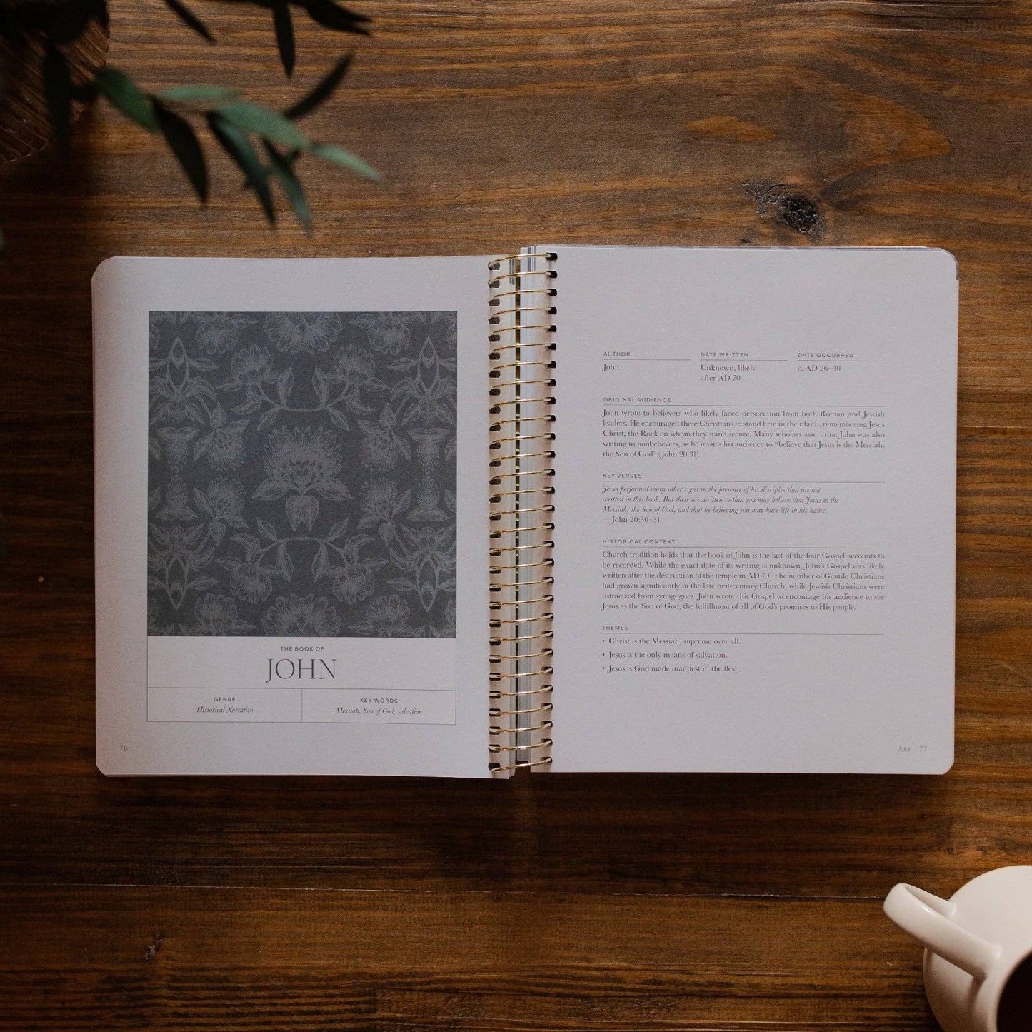 A Year in the Bible | 365 Days of Discovering the Beauty of Jesus from Matthew to Revelation
