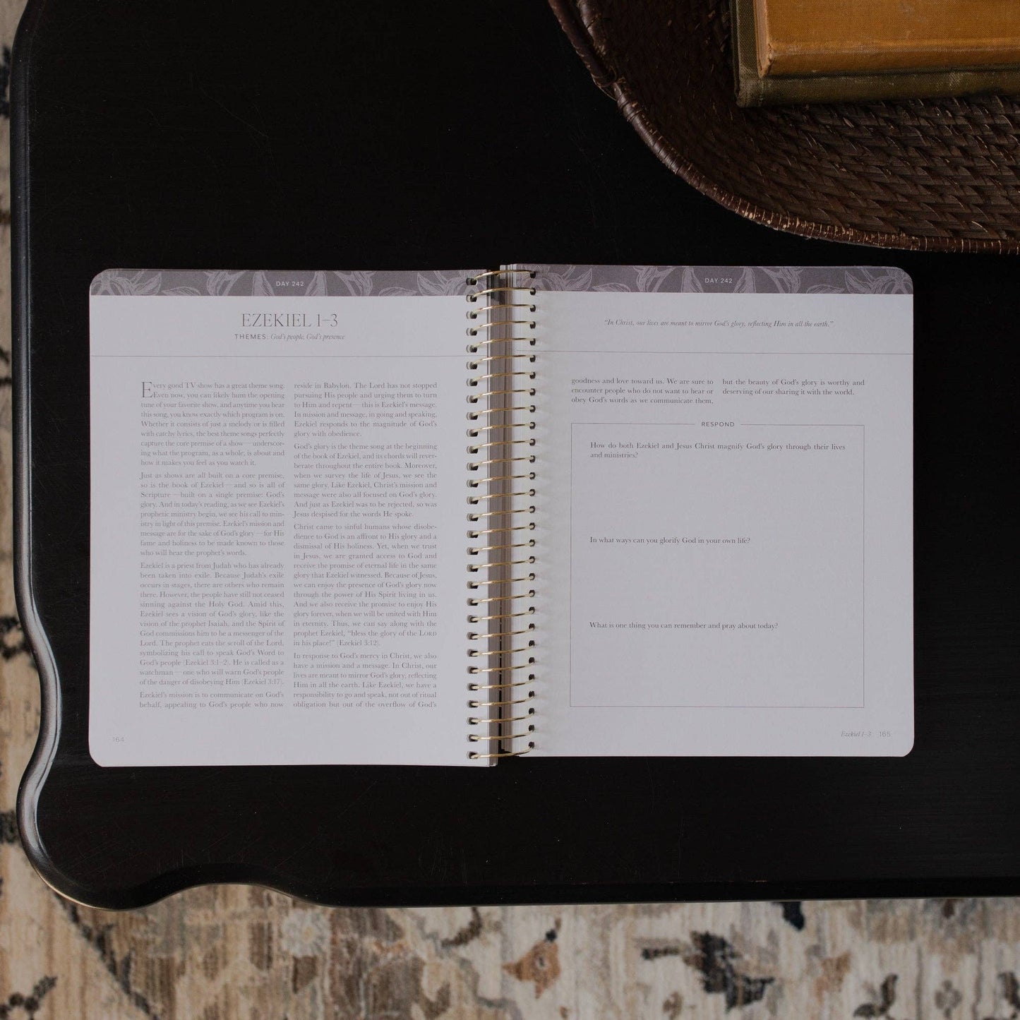 A Year in the Bible | 365 Days of Discovering the Beauty of Jesus