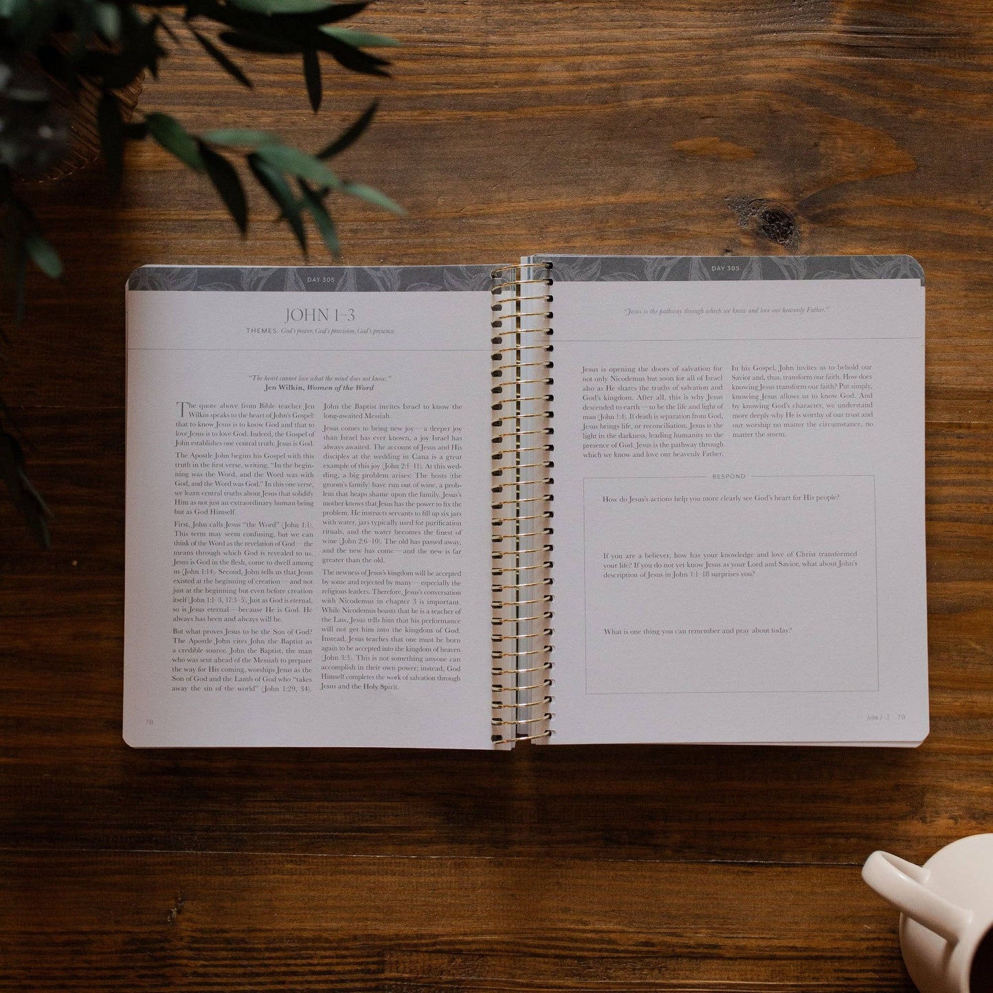 A Year in the Bible | 365 Days of Discovering the Beauty of Jesus from Matthew to Revelation
