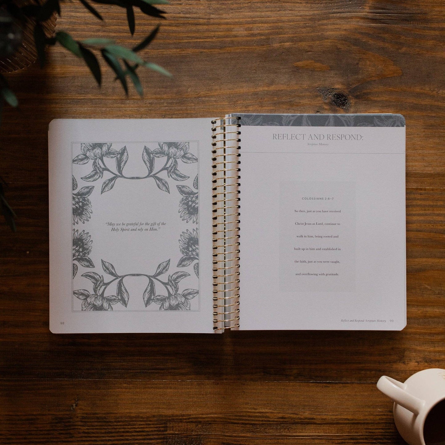 A Year in the Bible | 365 Days of Discovering the Beauty of Jesus from Matthew to Revelation