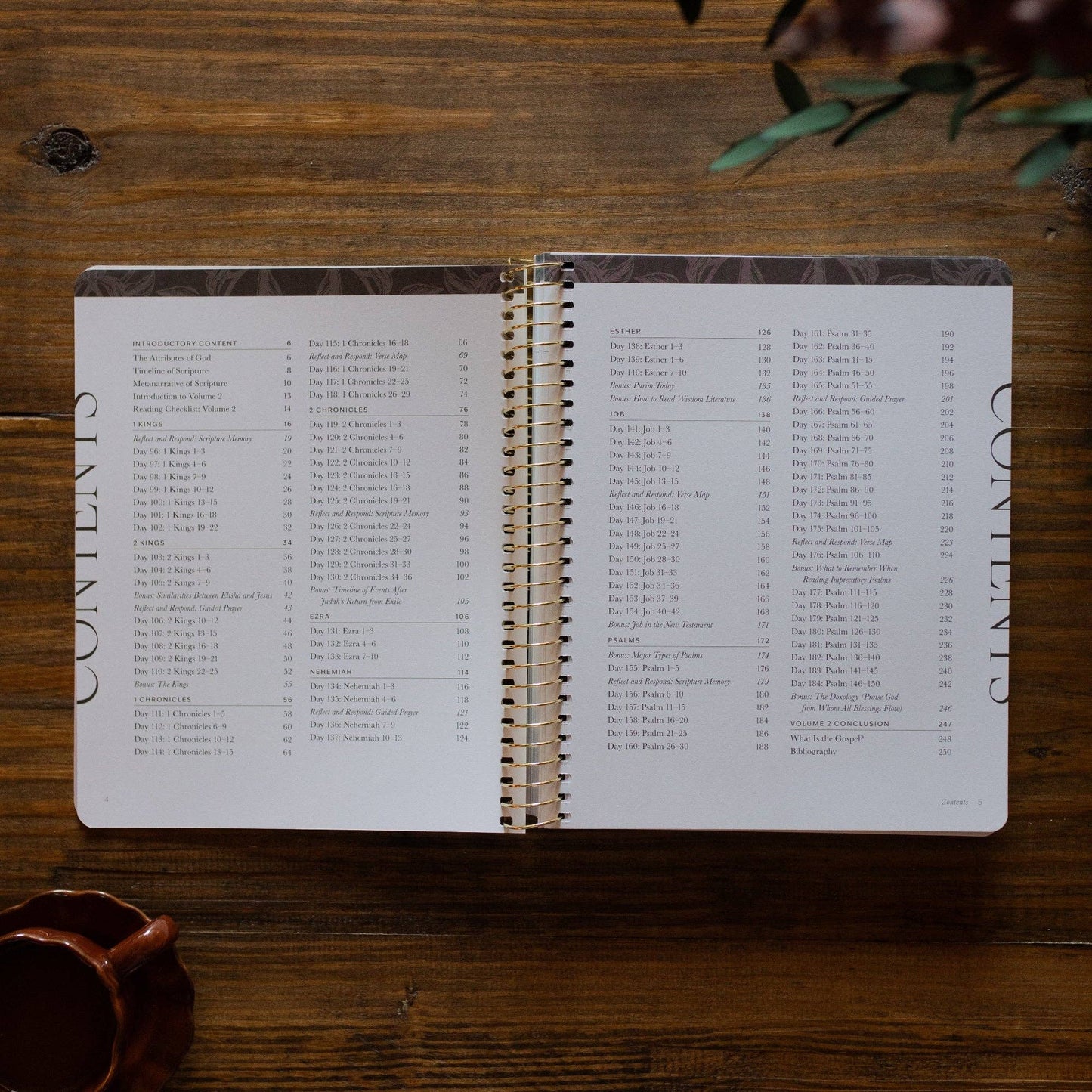 A Year in the Bible | 365 Days of Discovering the Beauty of Jesus from 1 Kings to Psalms