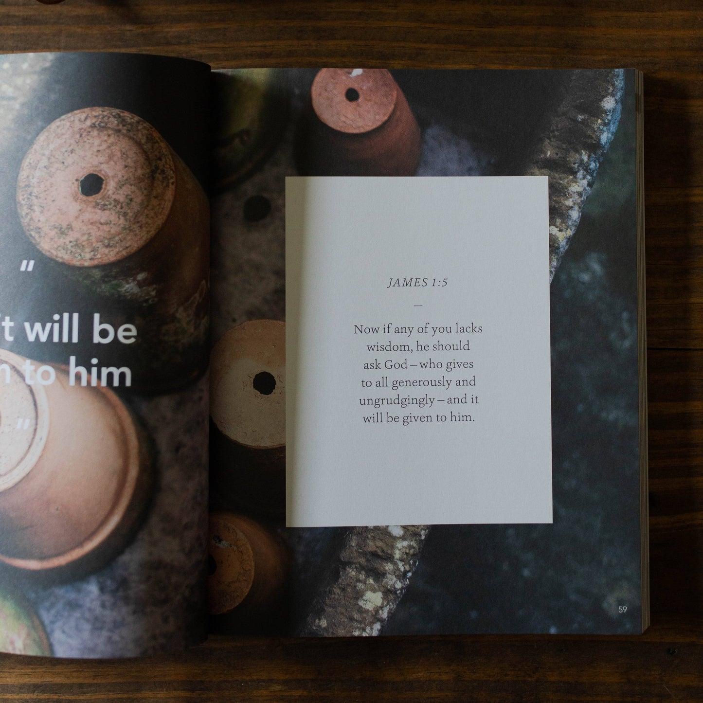 James | The Steadfast Life