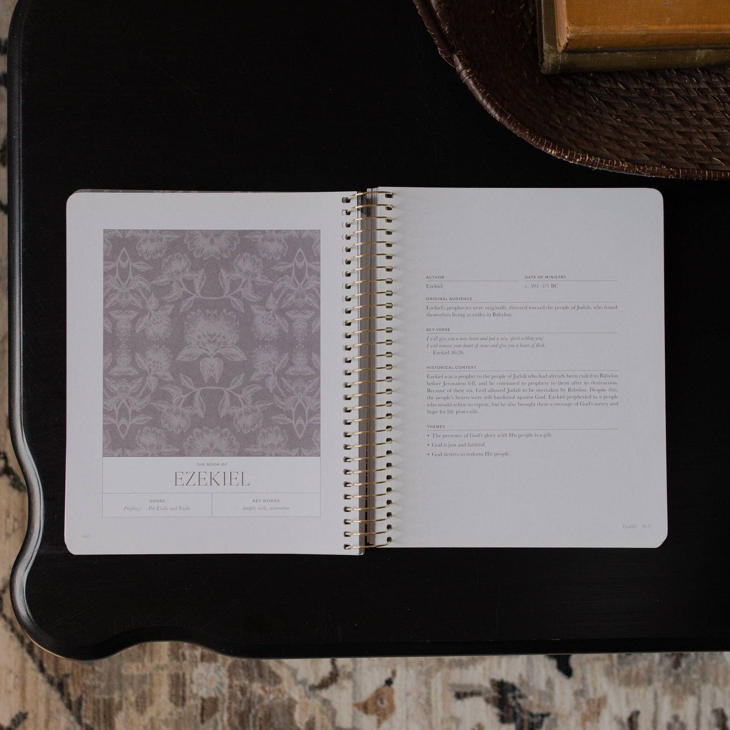 A Year in the Bible | 365 Days of Discovering the Beauty of Jesus