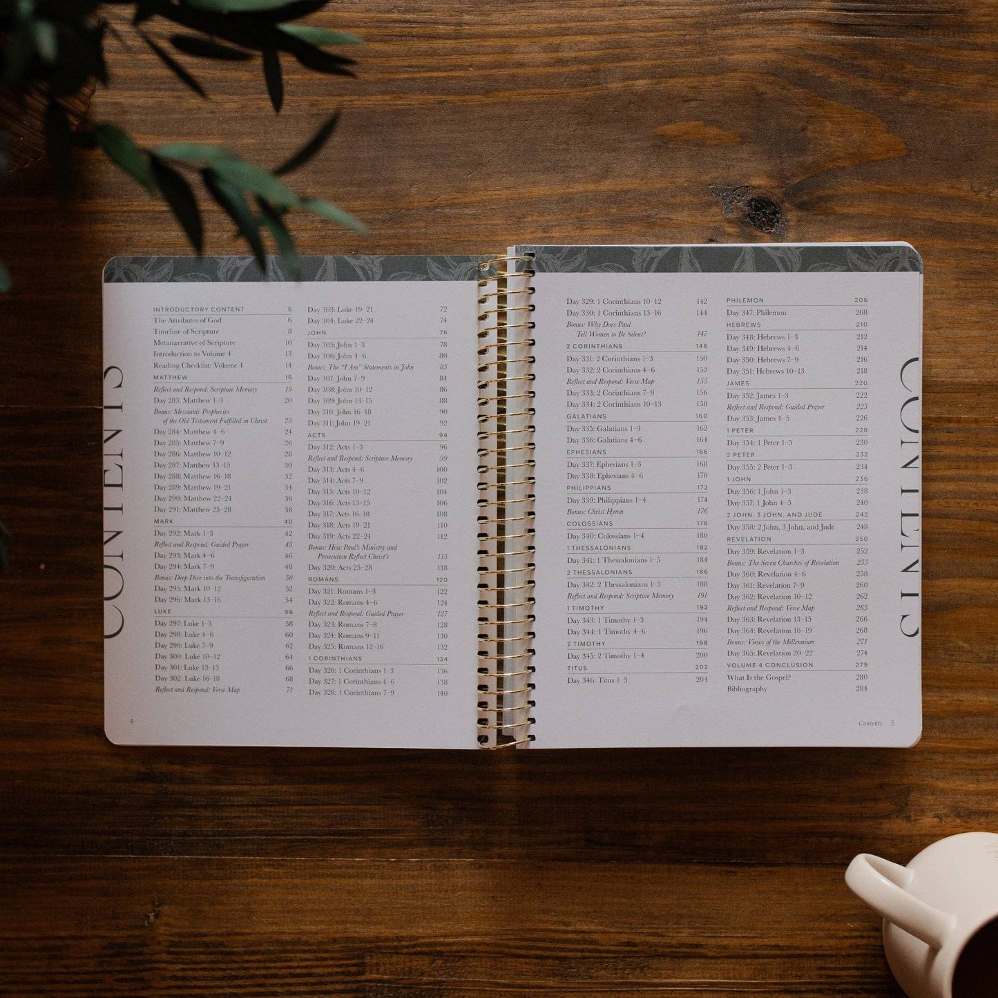 A Year in the Bible | 365 Days of Discovering the Beauty of Jesus from Matthew to Revelation