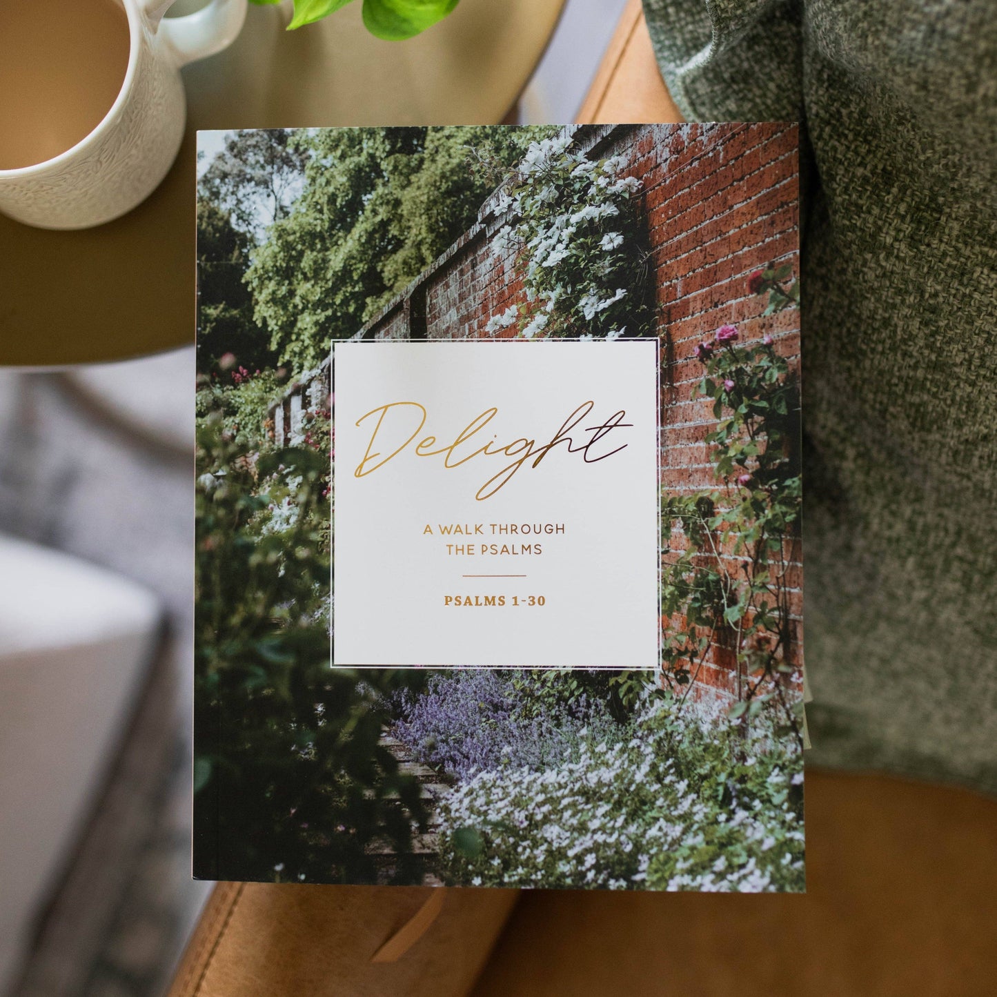 Delight | Psalms 1-30