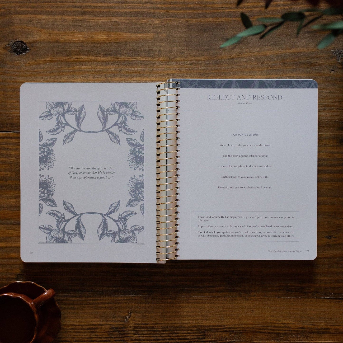 A Year in the Bible | 365 Days of Discovering the Beauty of Jesus from 1 Kings to Psalms