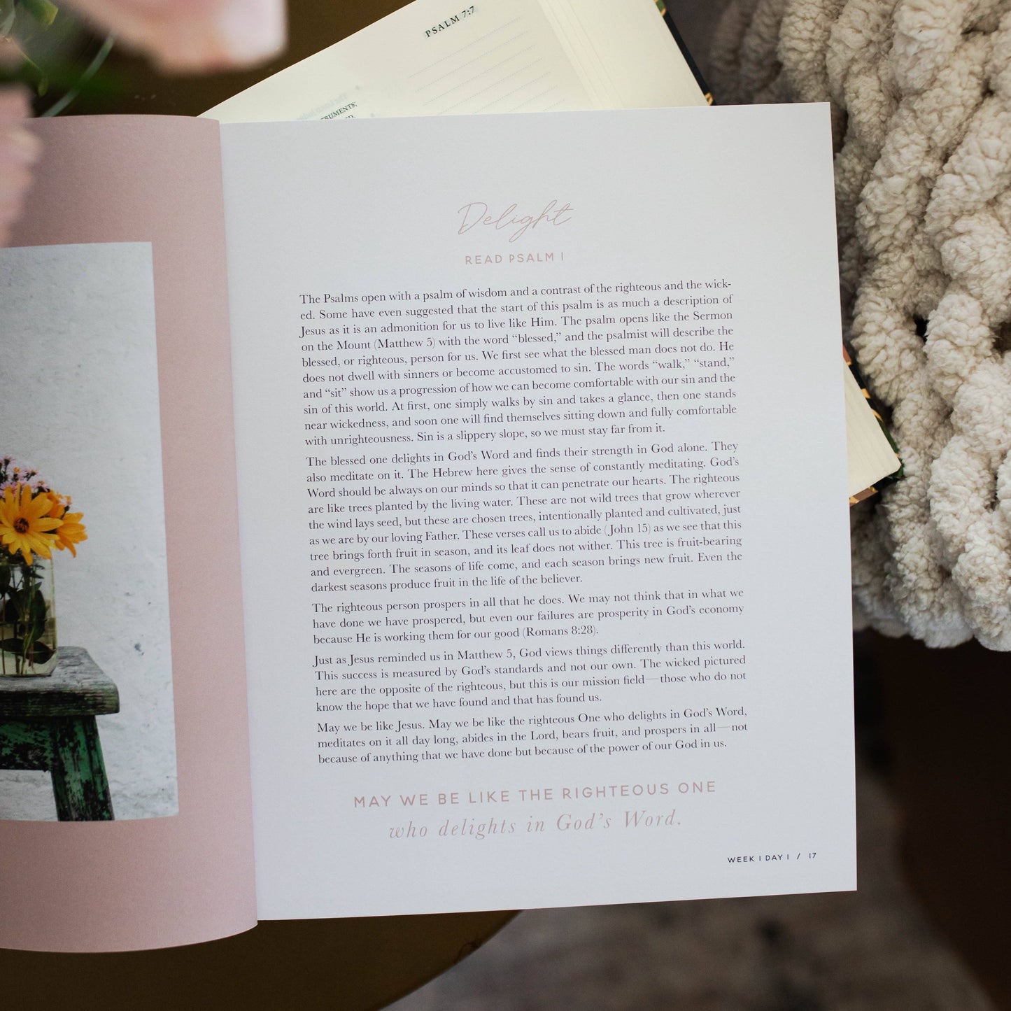 Delight | Psalms 1-30