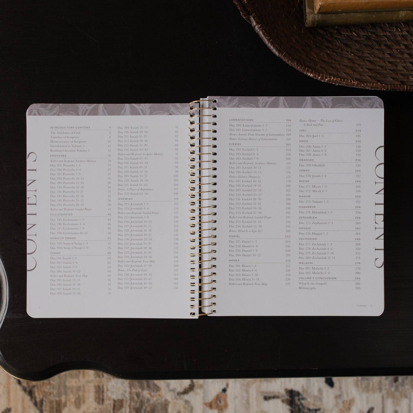 A Year in the Bible | 365 Days of Discovering the Beauty of Jesus