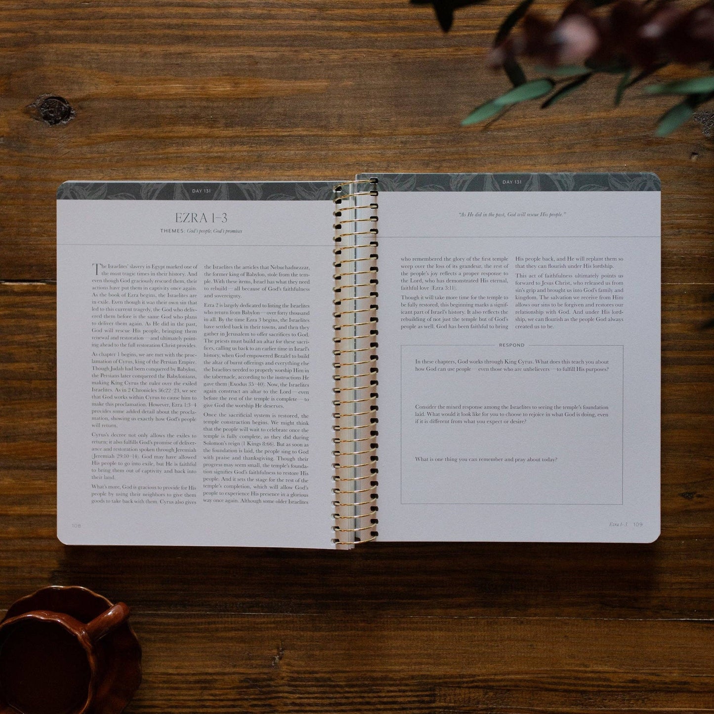 A Year in the Bible | 365 Days of Discovering the Beauty of Jesus from 1 Kings to Psalms