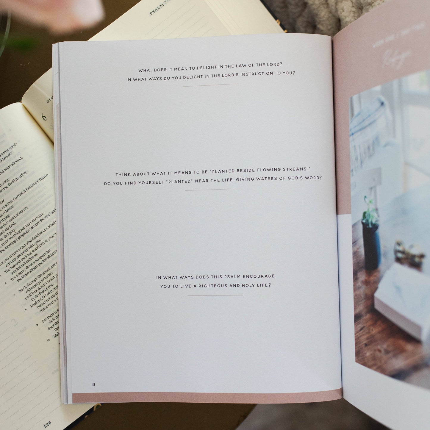 Delight | Psalms 1-30