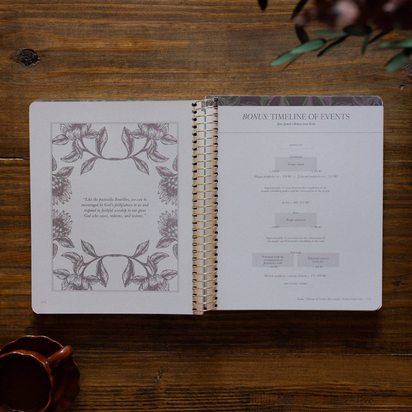 A Year in the Bible | 365 Days of Discovering the Beauty of Jesus from 1 Kings to Psalms