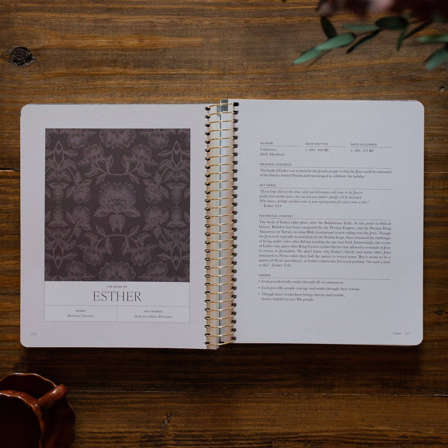 A Year in the Bible | 365 Days of Discovering the Beauty of Jesus from 1 Kings to Psalms